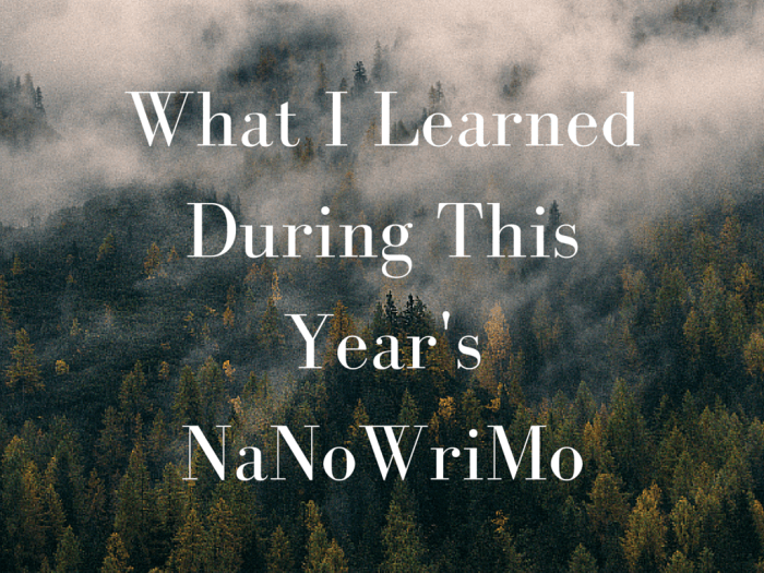 What I Learned During This Year's NaNoWriMo